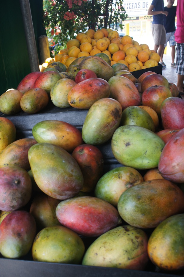 Fresh ripe mangos and a multitude of other south american fruits available
