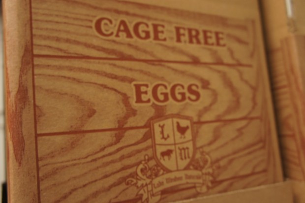 Cage Free eggs at Lake Meadow Naturals