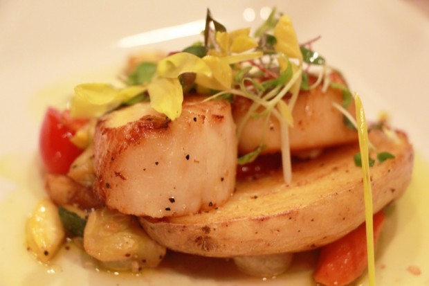 Scallops