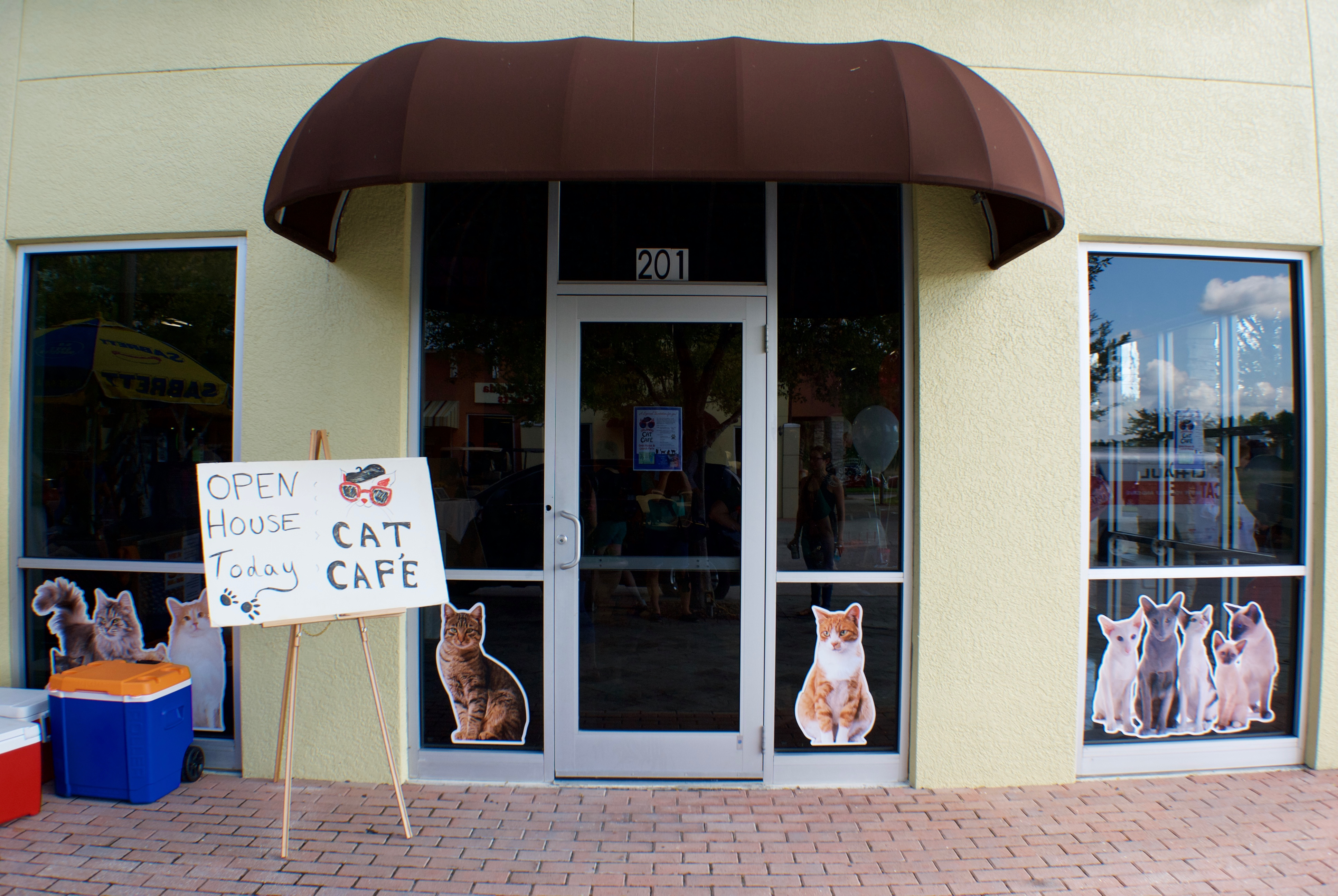 Orlando Cat Café in Clermont Tasty Chomps A Local's Culinary Guide