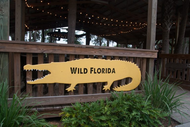 Wild Florida’s Wild Paint Night Out