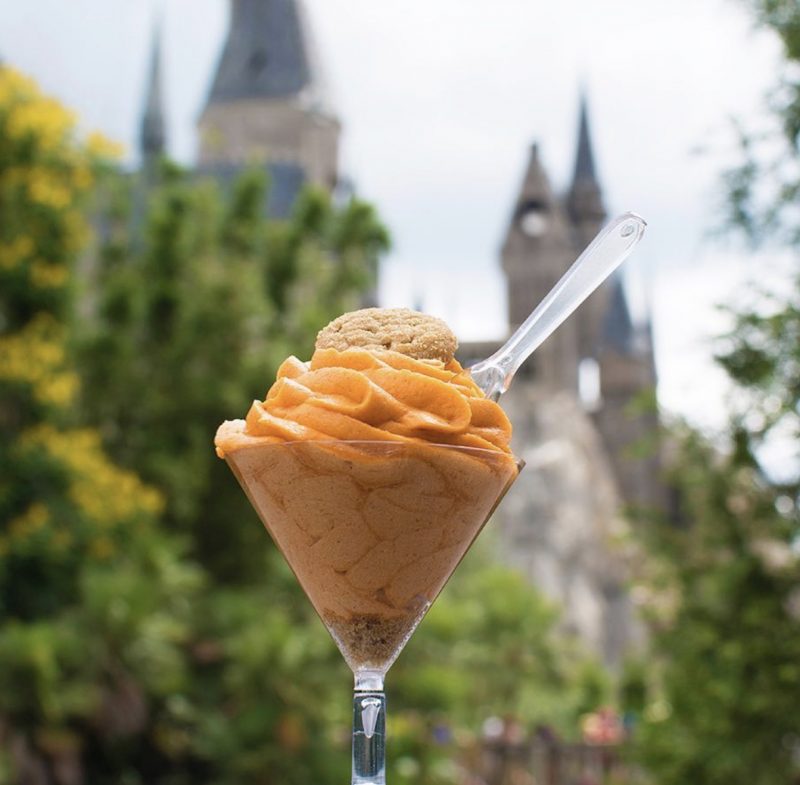 No Melt Ice-Cream Harry Potter