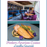 NEW TC Aurora banner ad