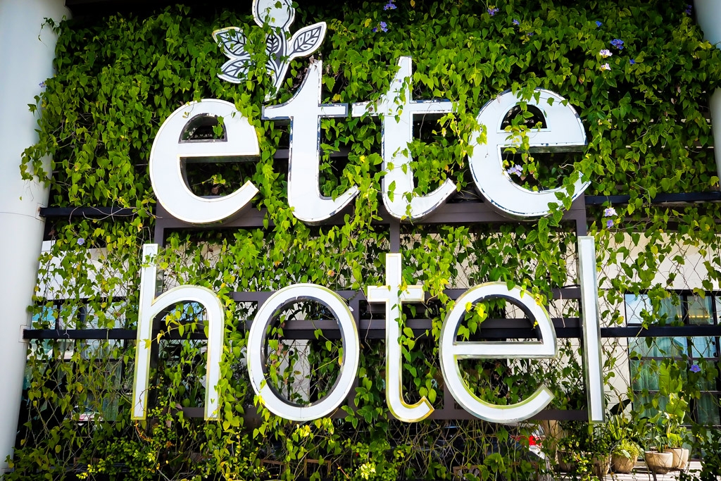 Inside Look Salt & the Cellar at The Ette hotel plus Interview with